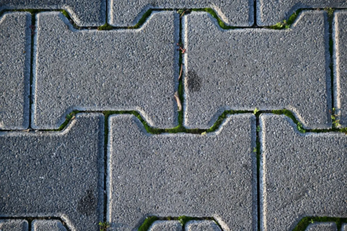 Gray concrete pavers seen from above with moss growing in the joints and dark stains on the surface